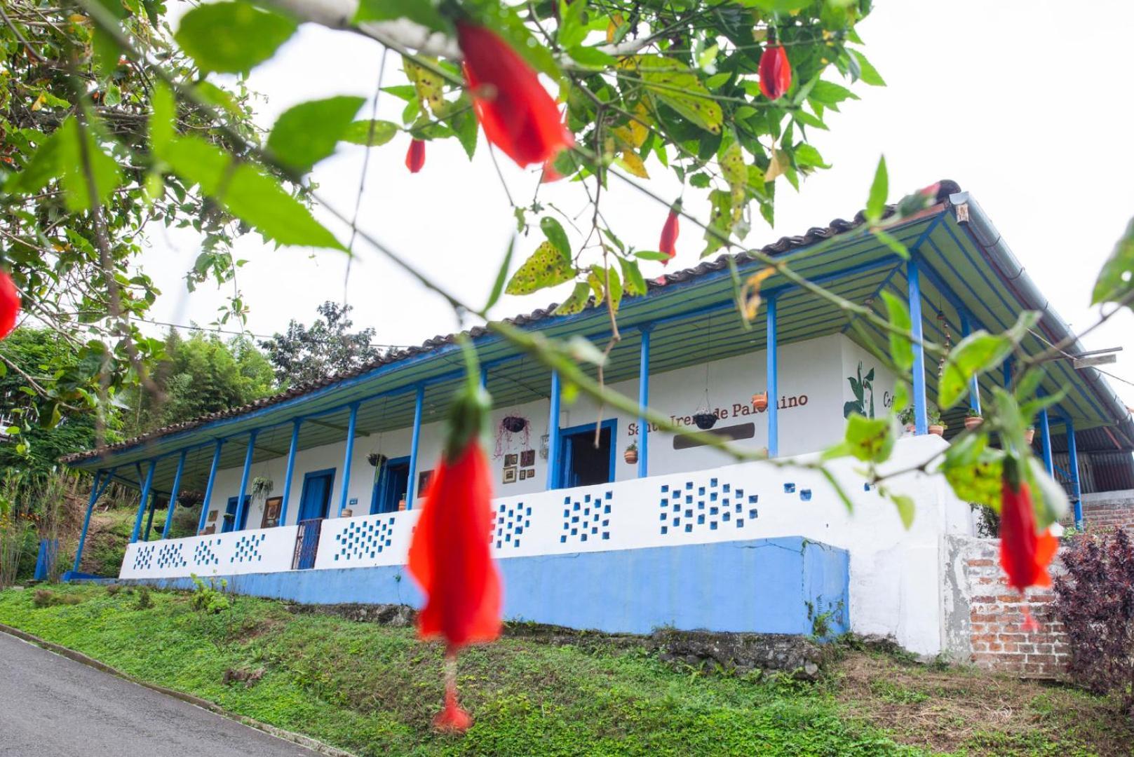 Santa Irene De Palomino - Sevilla Valle Del Cauca * Sevilla (Valle del Cauca)