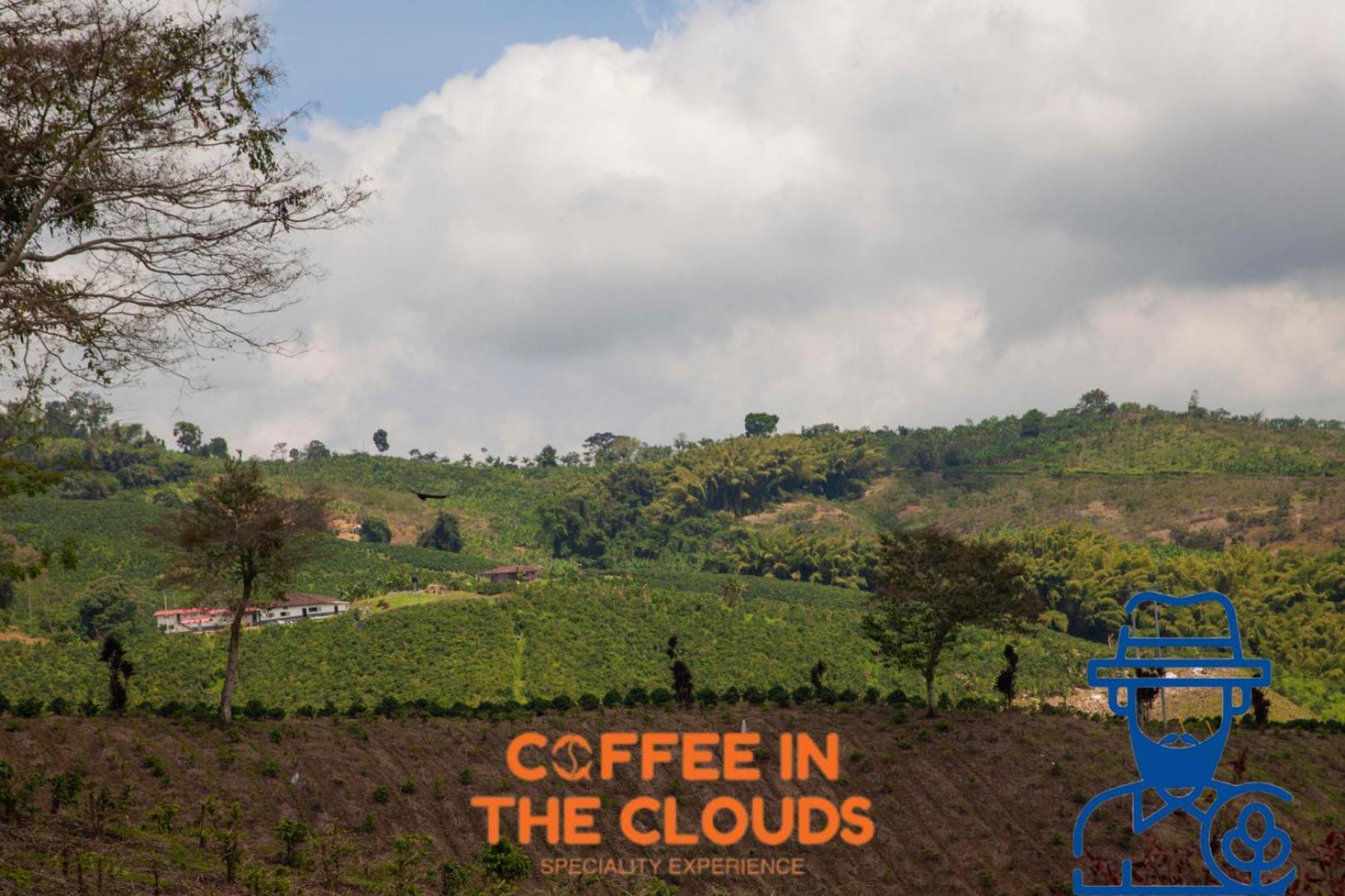 Farm stay Santa Irene De Palomino - Sevilla Valle Del Cauca Sevilla (Valle del Cauca)