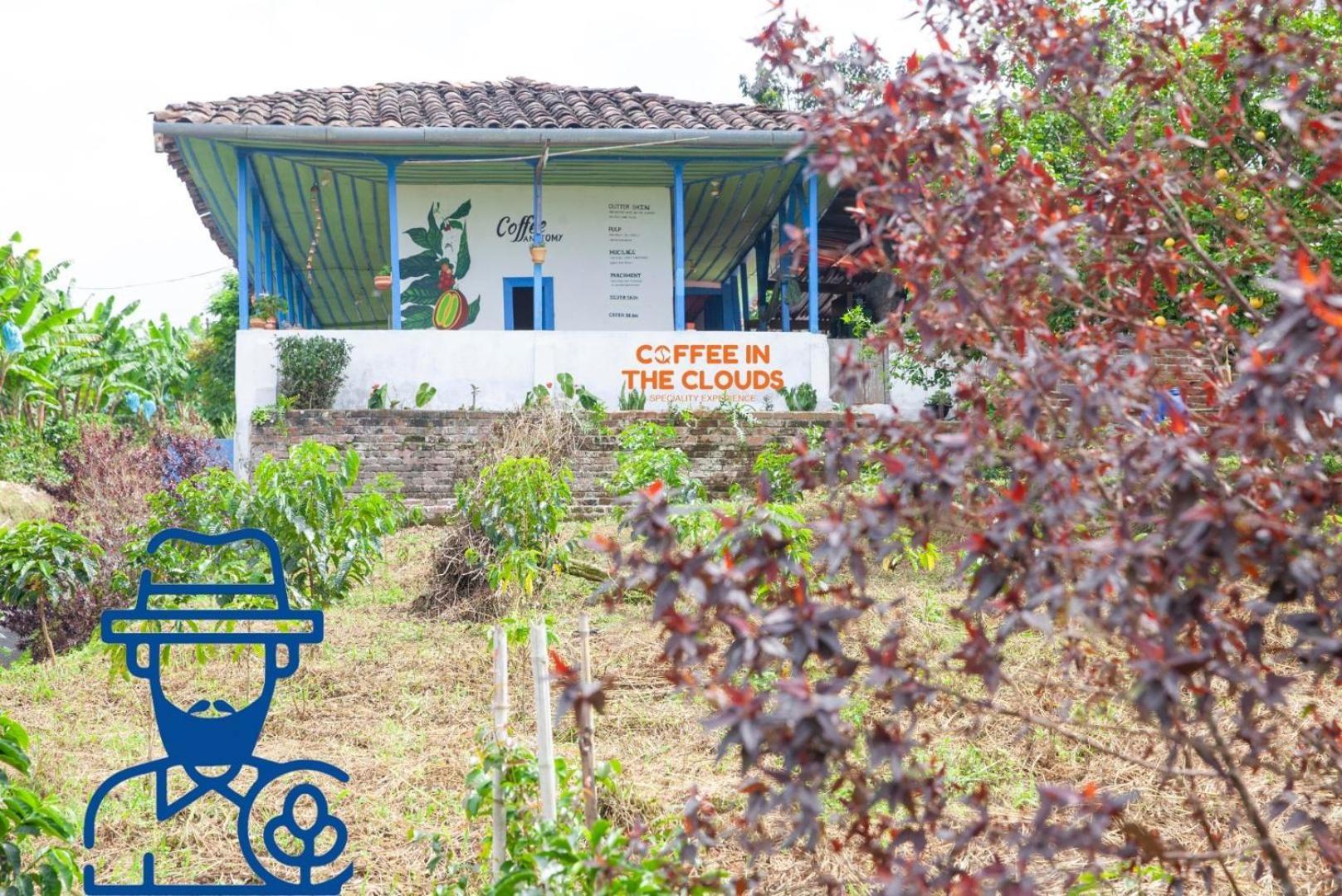 Santa Irene De Palomino - Sevilla Valle Del Cauca *